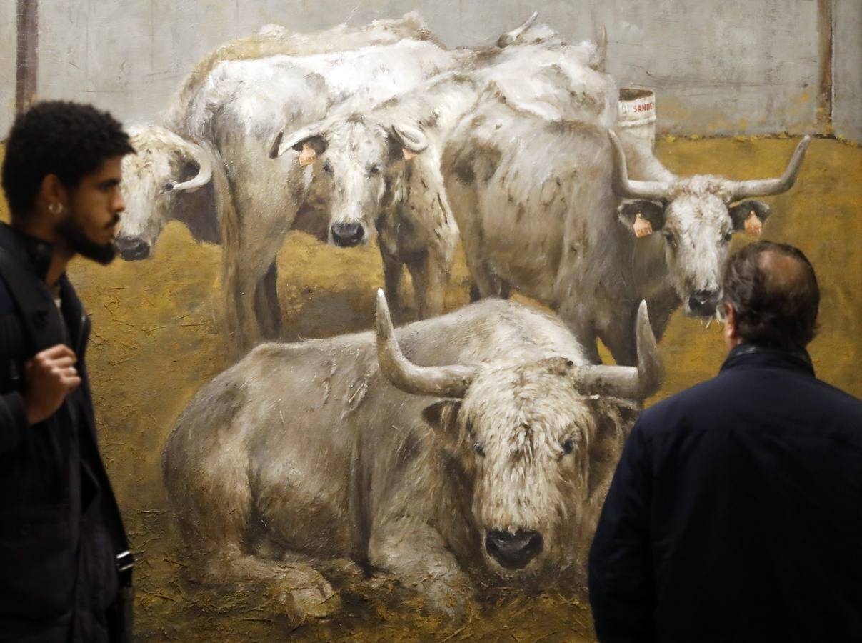 La exposición de pintura de María José Ruiz en Córdoba, en imágenes