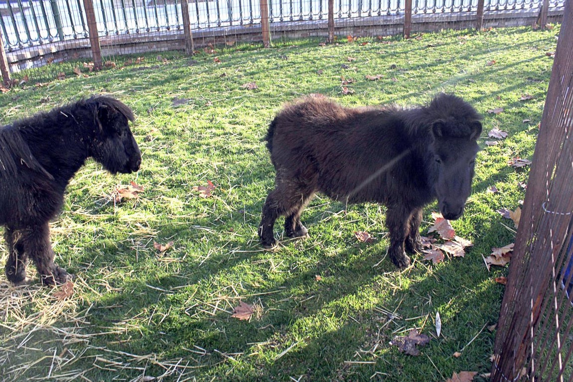 Belén de la Eurocaja Rural. 