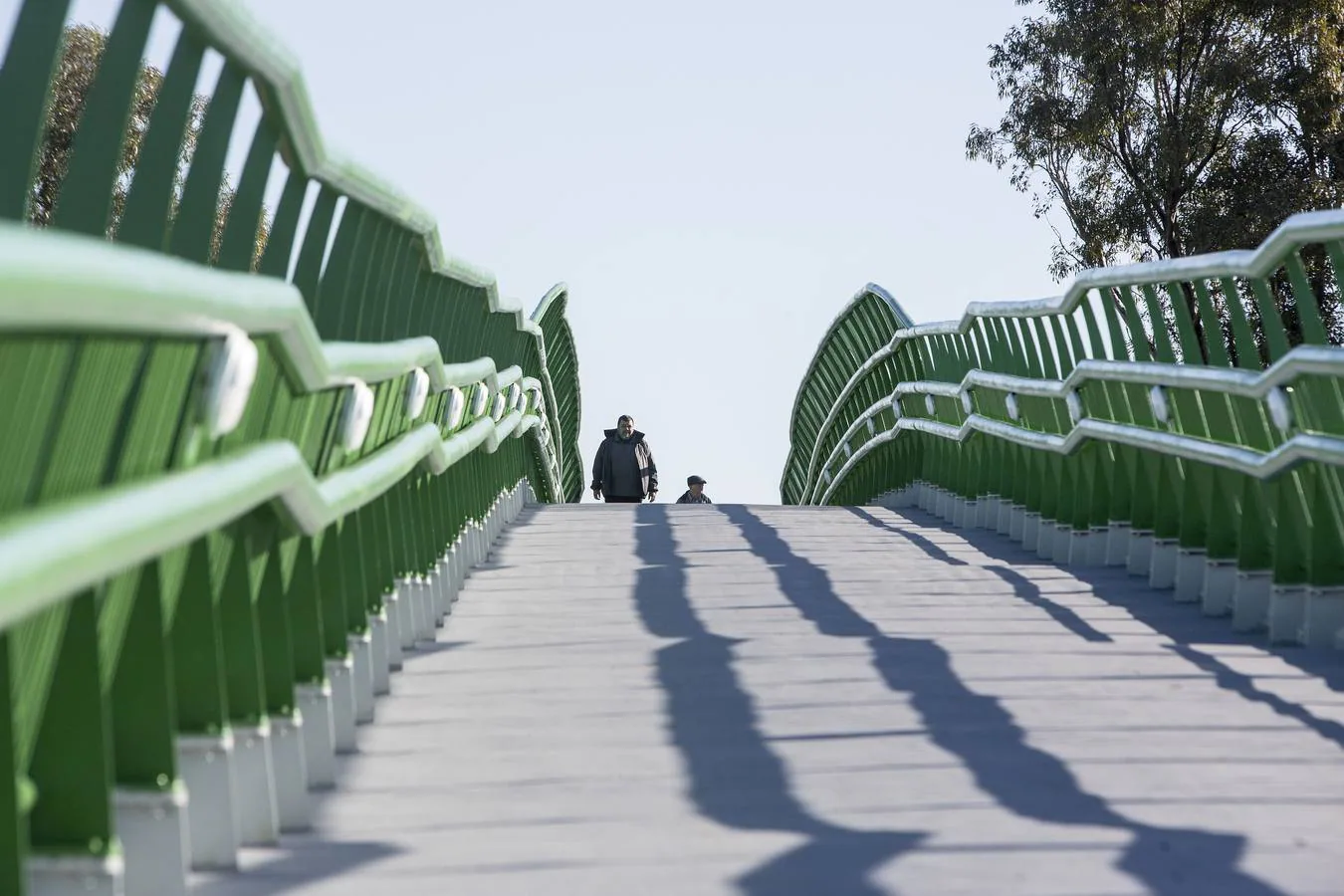 Fotos: Inauguración de la pasarela de la Escuela de Ingenieros en Puerto Real