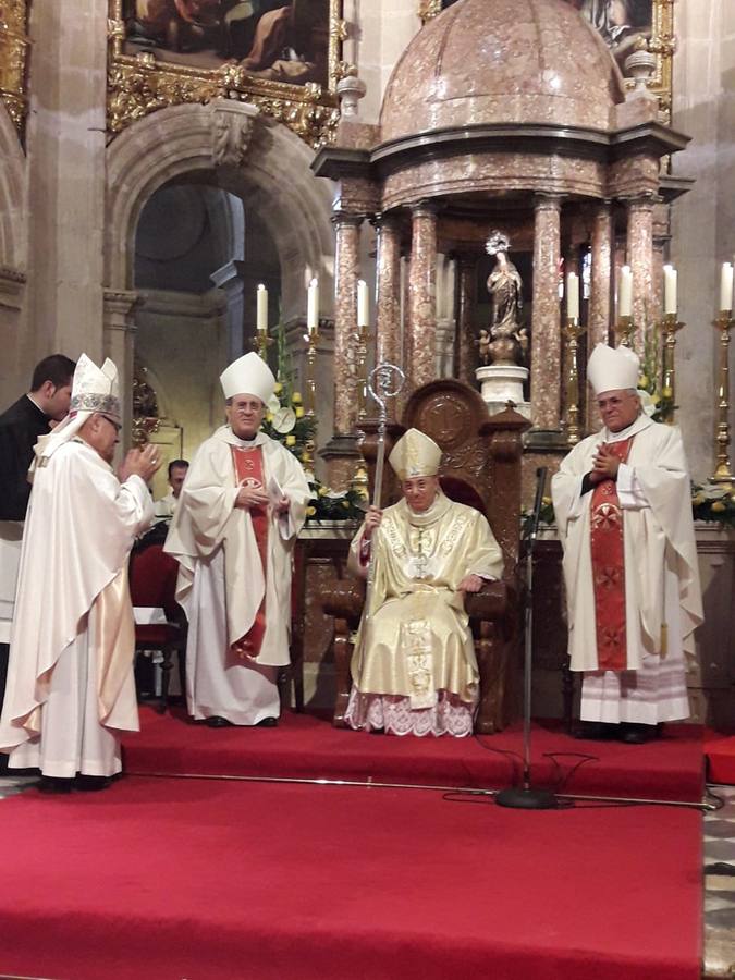 La ordenación del cordobés Francisco Jesús Orozco como obispo de Guadix, en imágenes