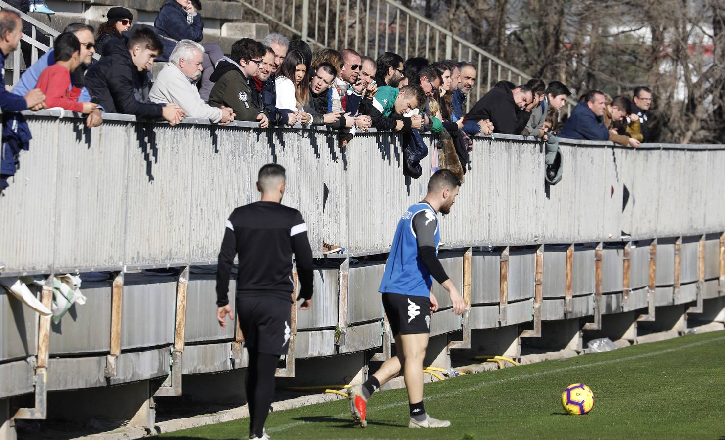 La vuelta al trabajo del Córdoba CF, en imágenes