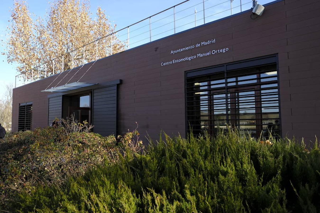 9. En una de las orillas del lago se ha acondicionado una sala con una colección de mariposas donada por un vecino