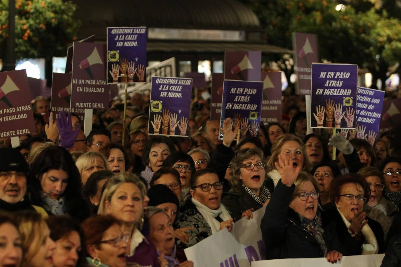 La protesta feminista en Córdoba, en imágenes