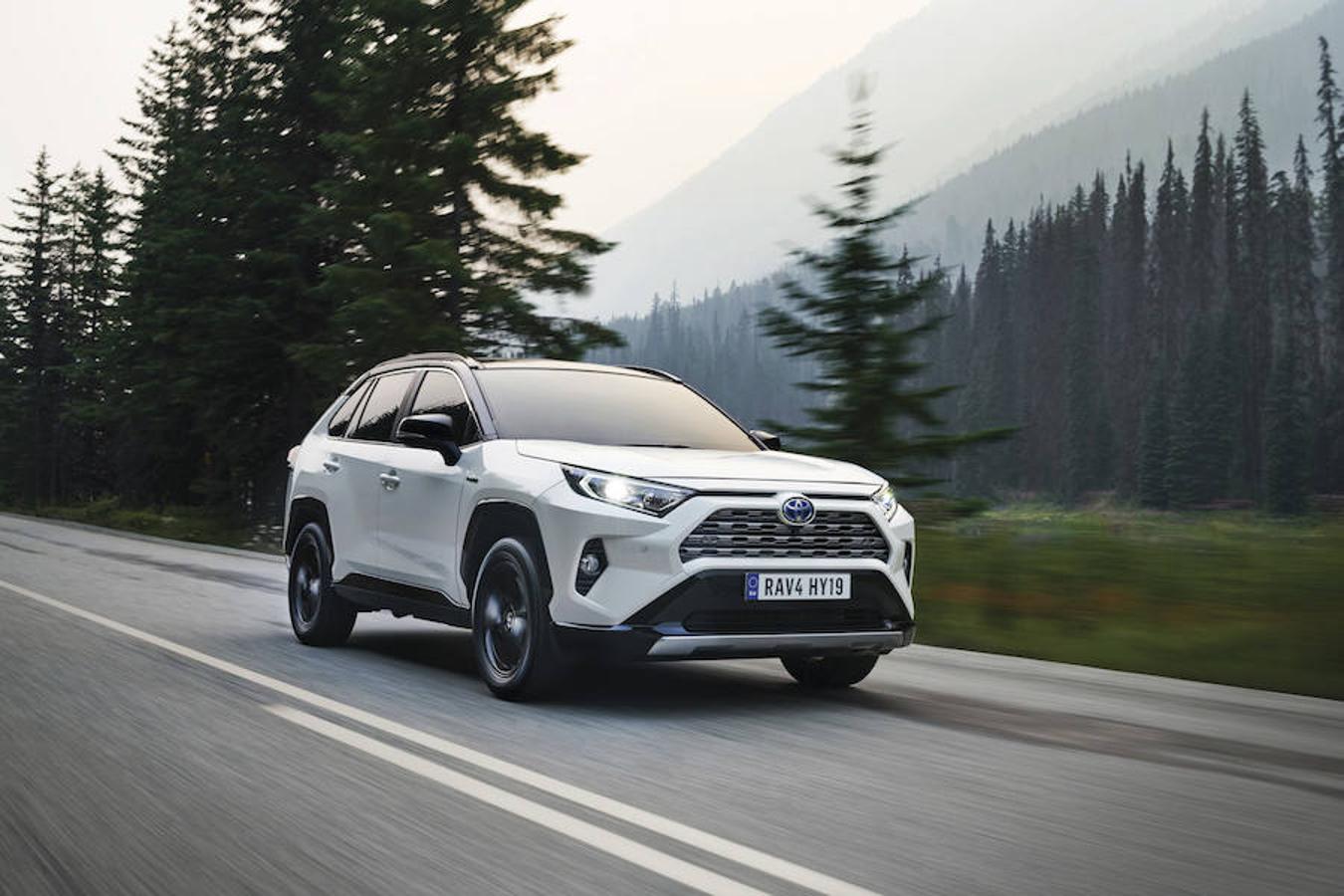 Fotogalería: Toyota RAV4 2019