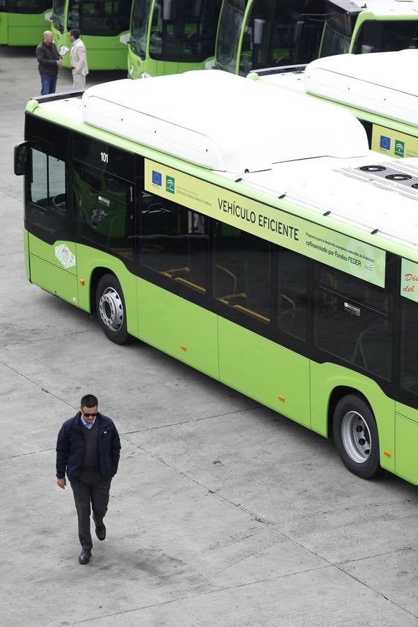 Así son los nuevos autobuses de gas de Aucorsa