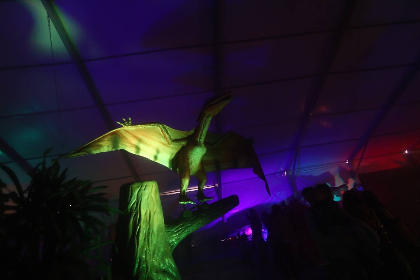 Dinosaurs Tour ya se puede visitar en Cádiz