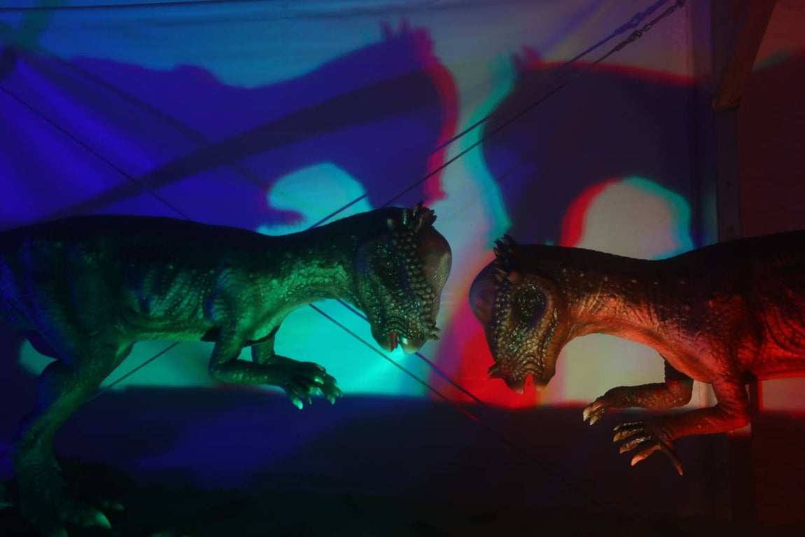 Dinosaurs Tour ya se puede visitar en Cádiz