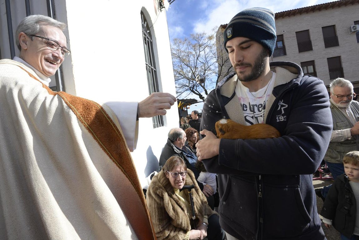 Bendición de animales en la iglesia de san Antón