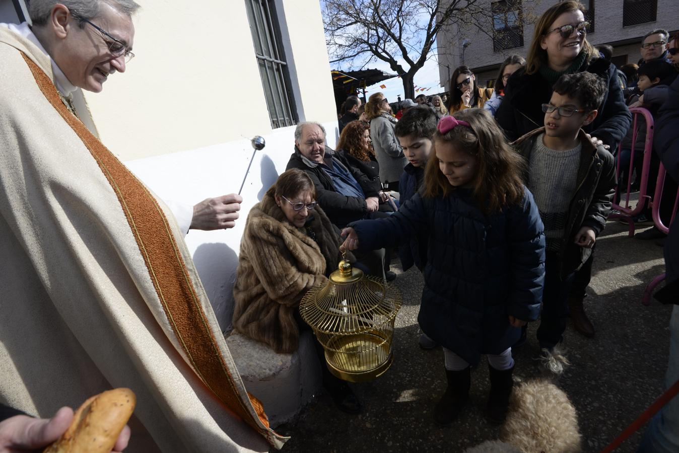 Bendición de animales en la iglesia de san Antón