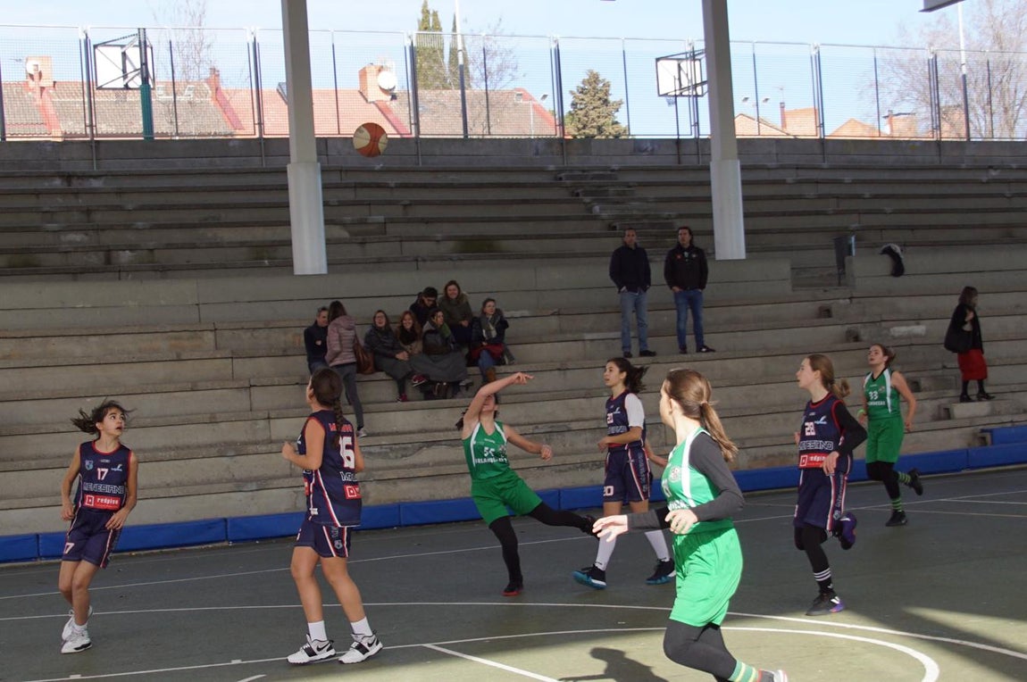 Las mejores imágenes del encuentro BVM Irlandesas - Menesiano. 