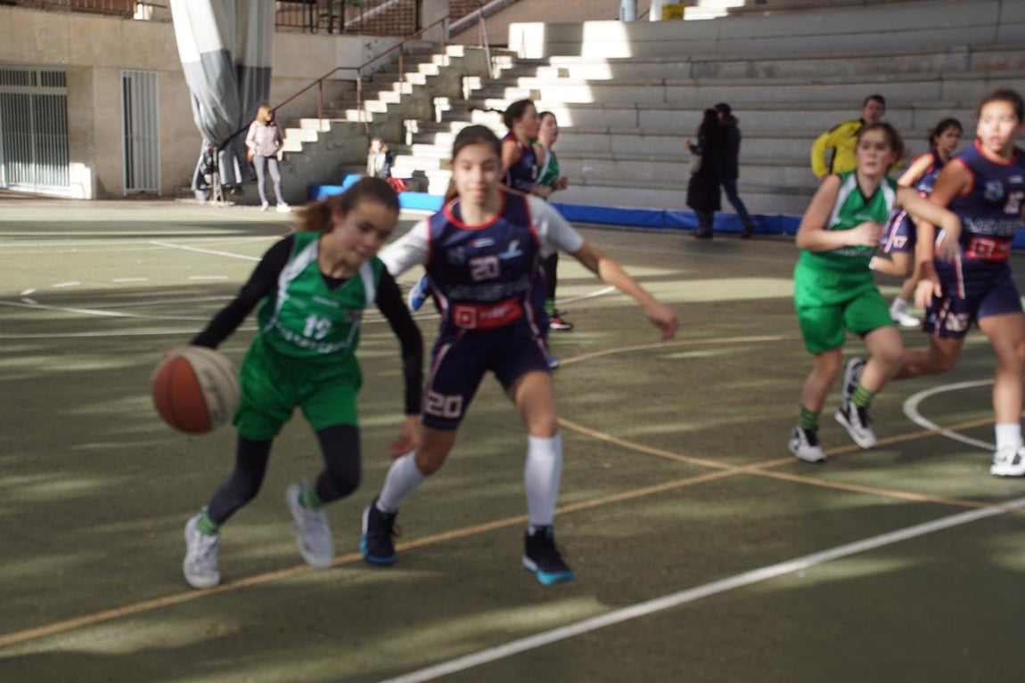 Las mejores imágenes del encuentro BVM Irlandesas - Menesiano. 