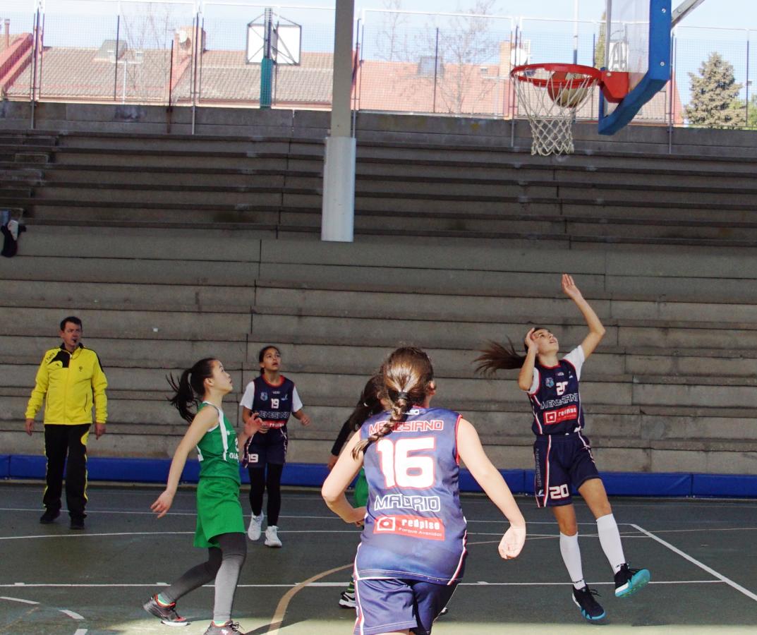 Las mejores imágenes del encuentro BVM Irlandesas - Menesiano. 