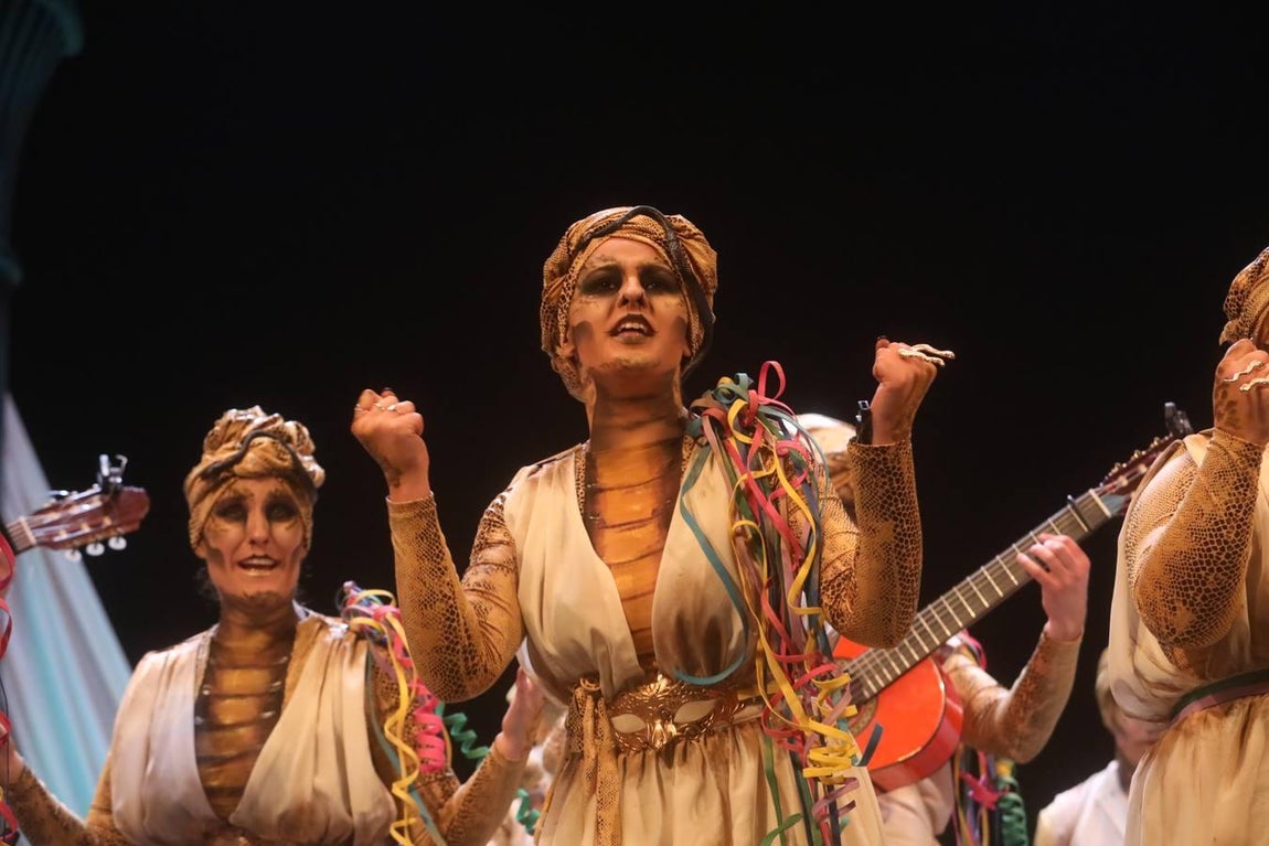 Fotos: Comparsa Lasss Envenenásss en el COAC 2019