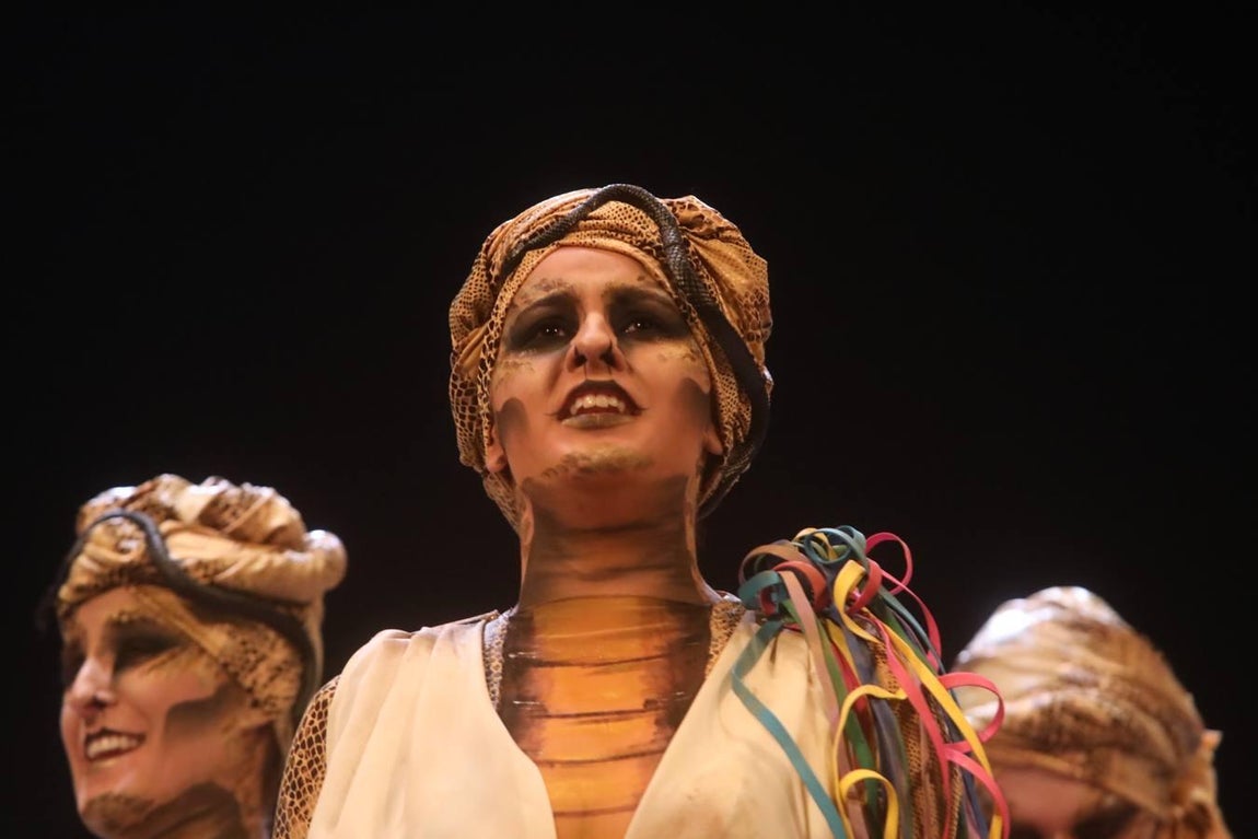 Fotos: Comparsa Lasss Envenenásss en el COAC 2019