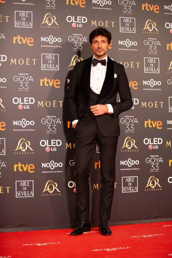 Premios Goya 2019: El cine se viste de gala en Sevilla (I)