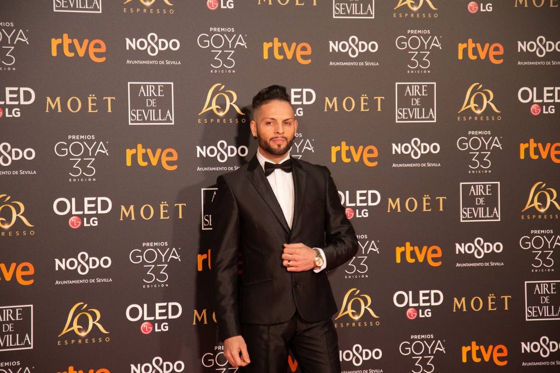 Premios Goya 2019: El cine se viste de gala en Sevilla (I)