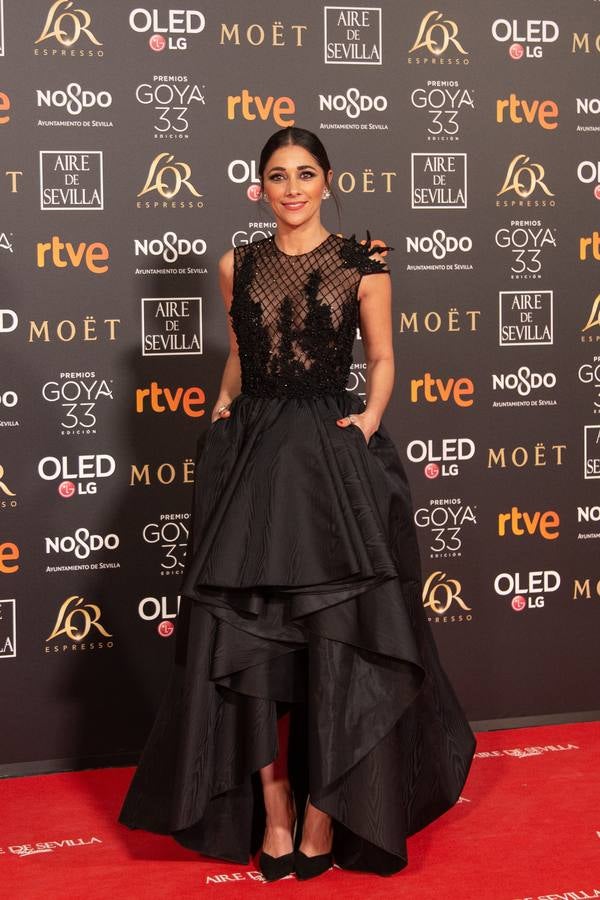 Premios Goya 2019: El cine se viste de gala en Sevilla (I)