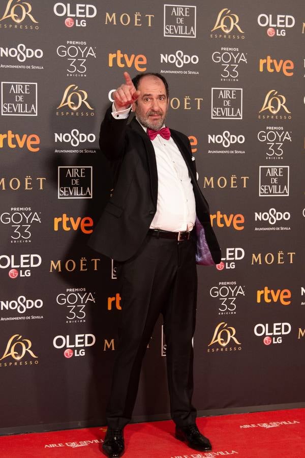 Premios Goya 2019: El cine se viste de gala en Sevilla (III)