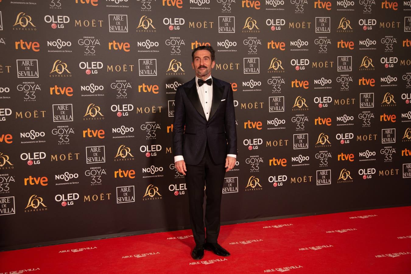 Premios Goya 2019: El cine se viste de gala en Sevilla (III)