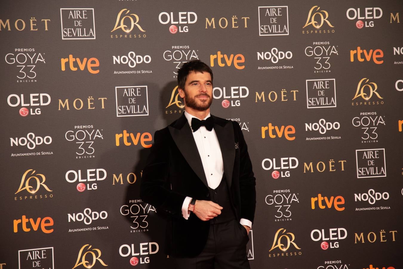 Premios Goya 2019: El cine se viste de gala en Sevilla (III)