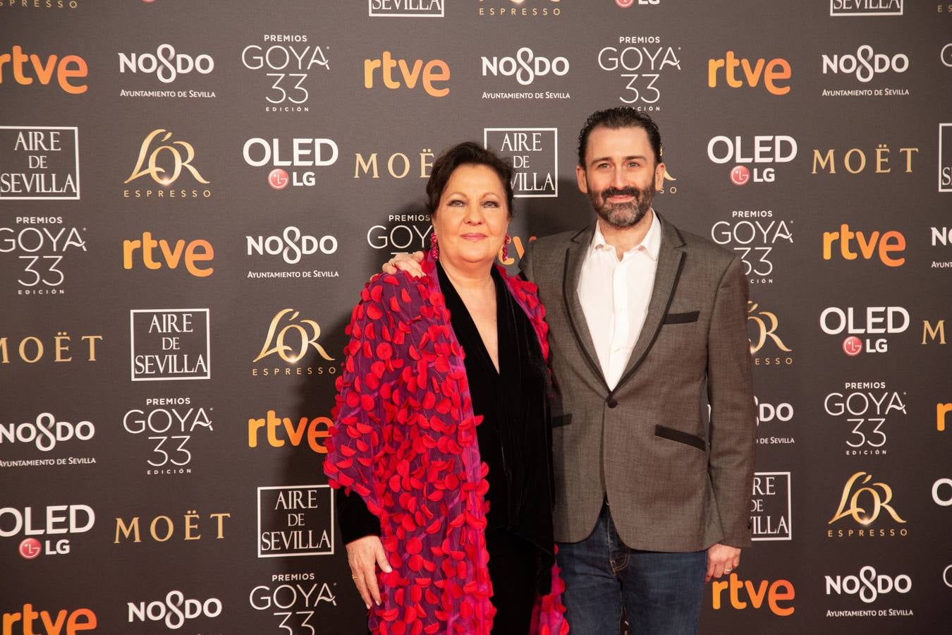 Premios Goya 2019: El cine se viste de gala en Sevilla (y IV)