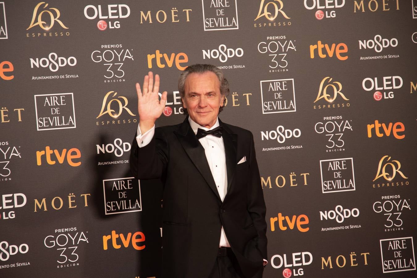 Premios Goya 2019: El cine se viste de gala en Sevilla (y IV)