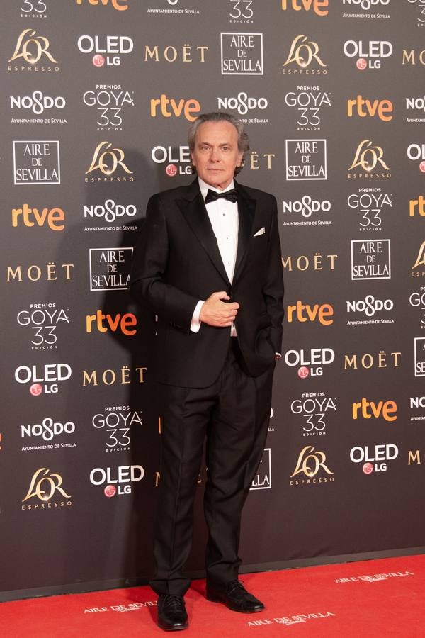 Premios Goya 2019: El cine se viste de gala en Sevilla (y IV)