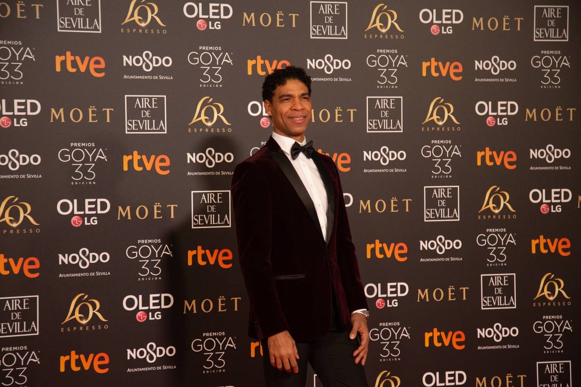 Premios Goya 2019: El cine se viste de gala en Sevilla (II)