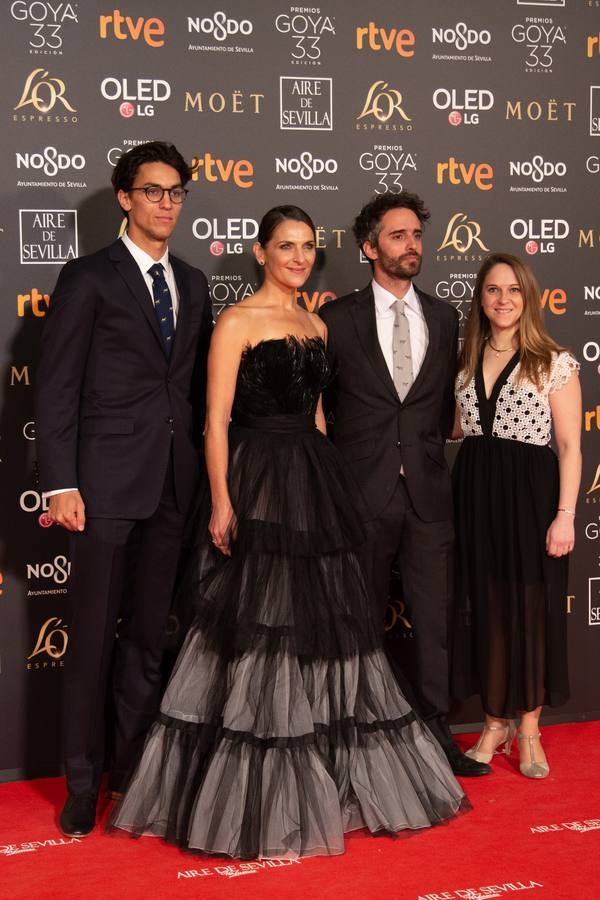 Premios Goya 2019: El cine se viste de gala en Sevilla (II)