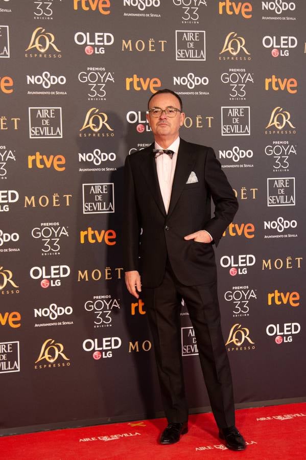 Premios Goya 2019: El cine se viste de gala en Sevilla (II)
