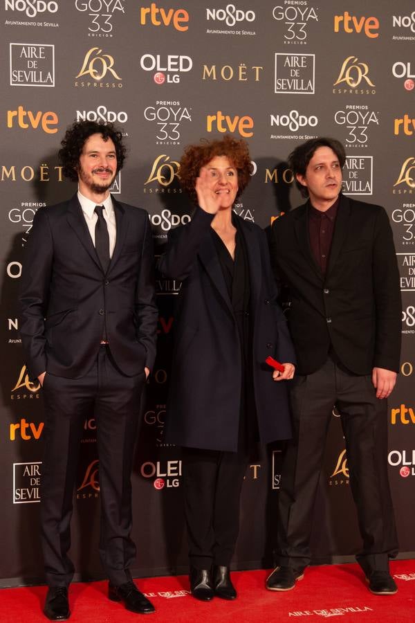 Premios Goya 2019: El cine se viste de gala en Sevilla (II)