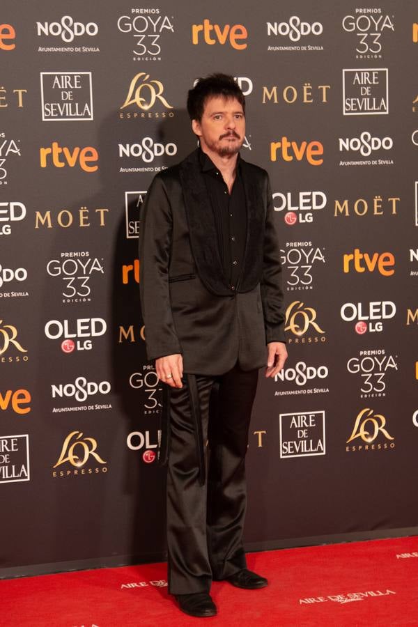 Premios Goya 2019: El cine se viste de gala en Sevilla (II)