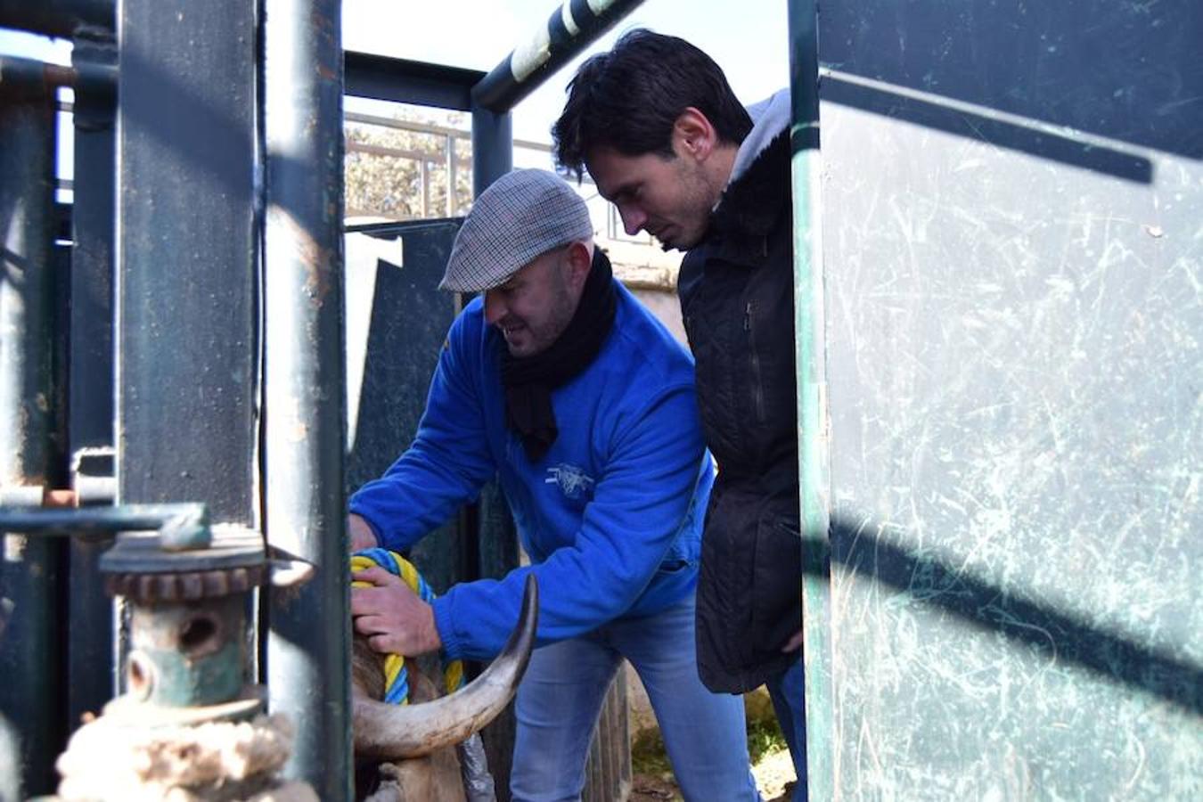 «Ratonero» lleva la pasión taurina a Yuncos