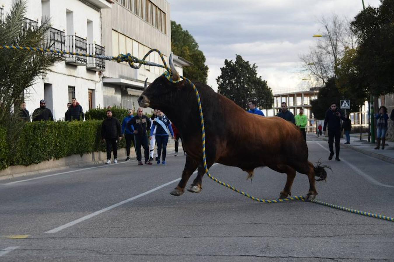 «Ratonero» lleva la pasión taurina a Yuncos