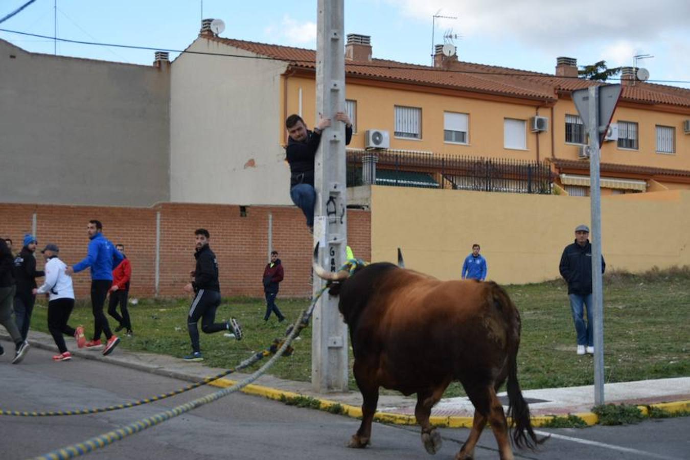 «Ratonero» lleva la pasión taurina a Yuncos