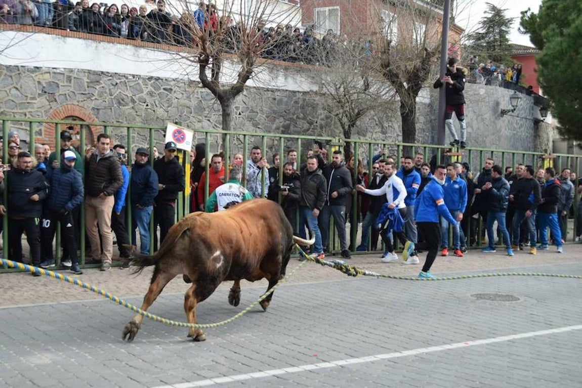 «Ratonero» lleva la pasión taurina a Yuncos