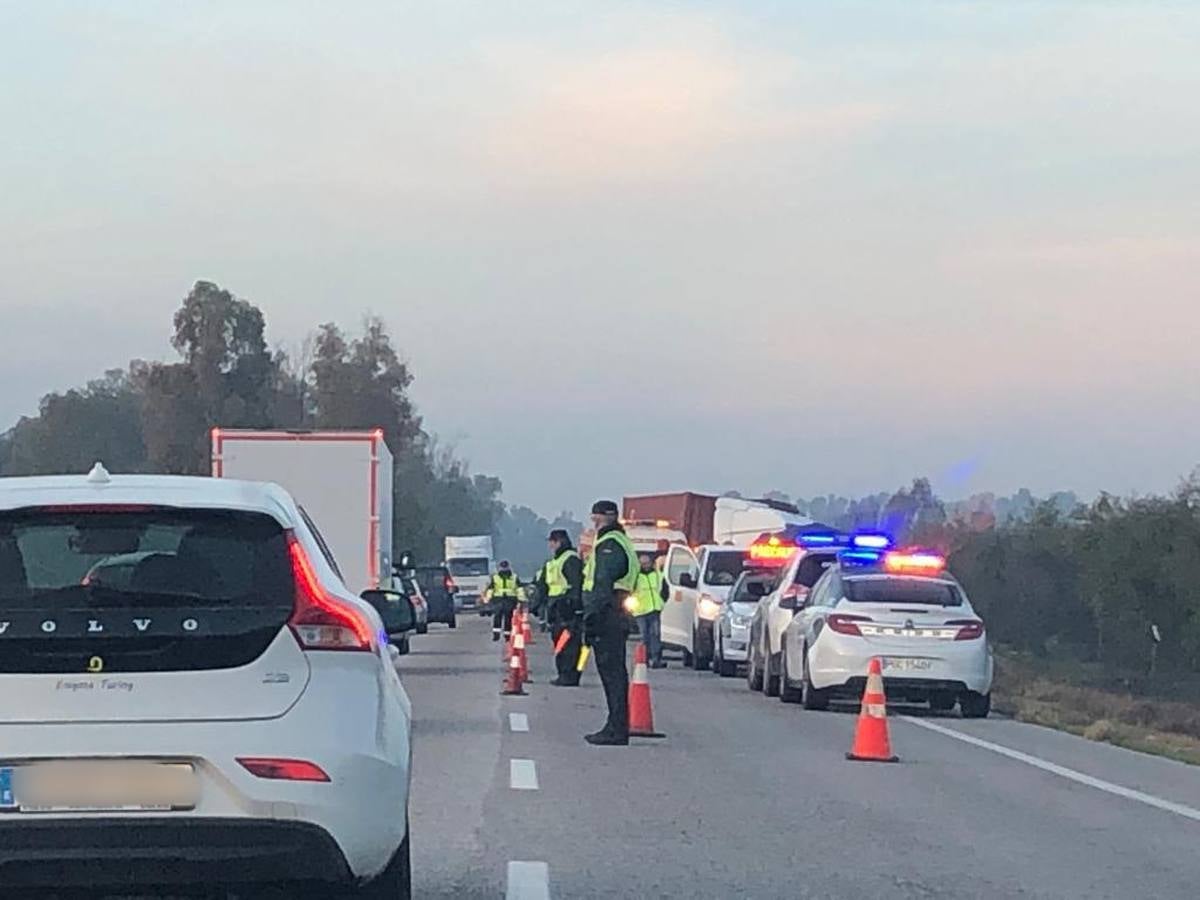 Crónica gráfica del accidente mortal en la carretera que une Arahal con Utrera