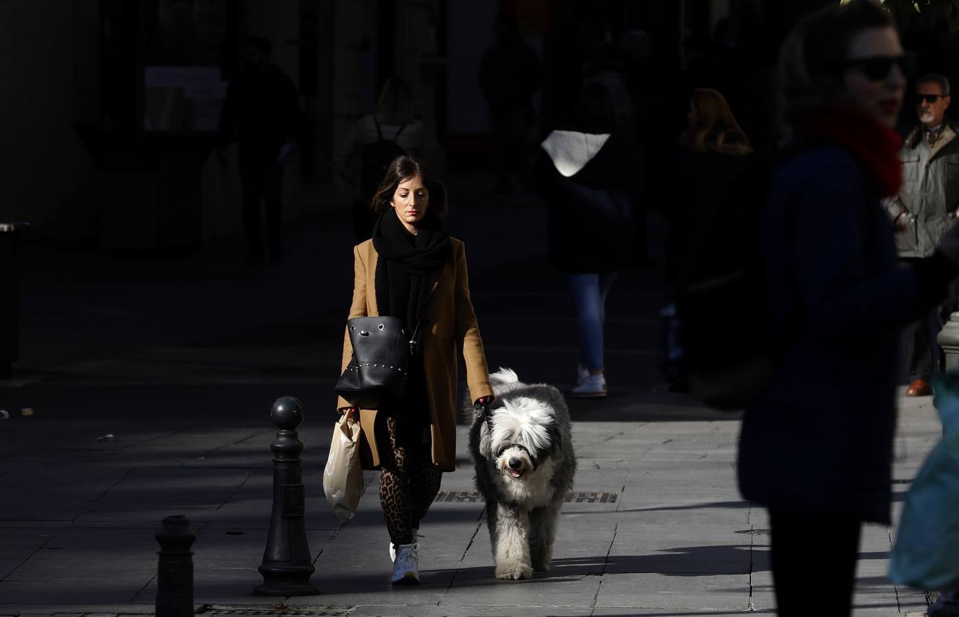 El rayo de sol que no cesa en el invierno de Córdoba, en imágenes