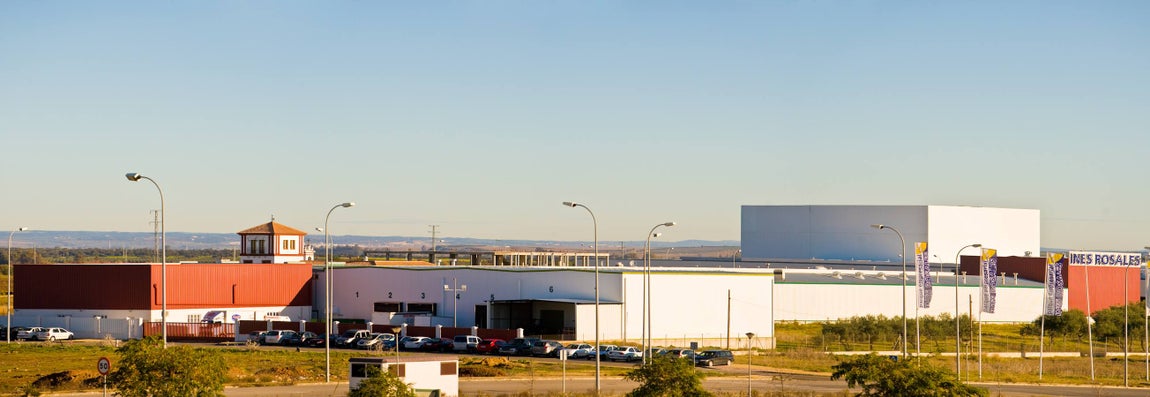 Inés Rosales o cómo hacer 400.000 tortas de aceite cada día