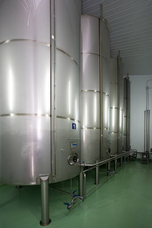 Inés Rosales o cómo hacer 400.000 tortas de aceite cada día