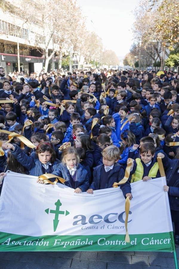 El día contra el cáncer infantil en Córdoba, en imágenes