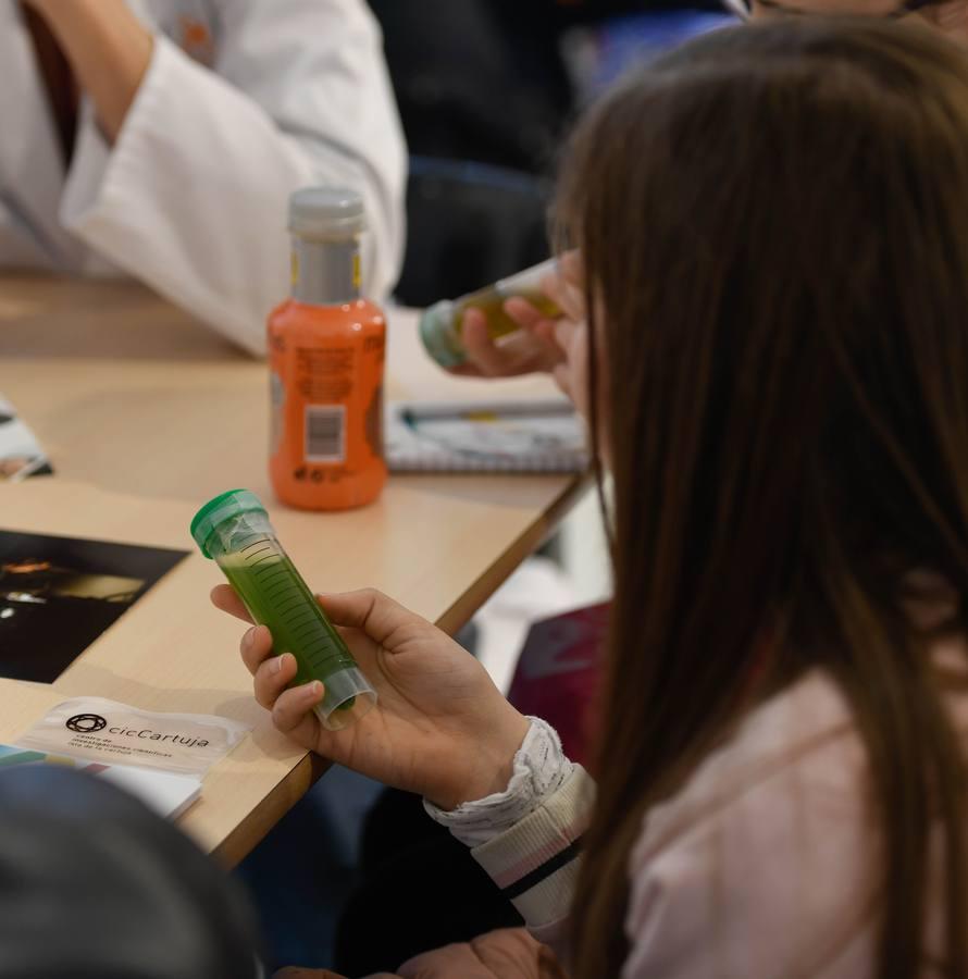 En imágenes, la jornada en Sevilla «Las niñas y la ciencia»