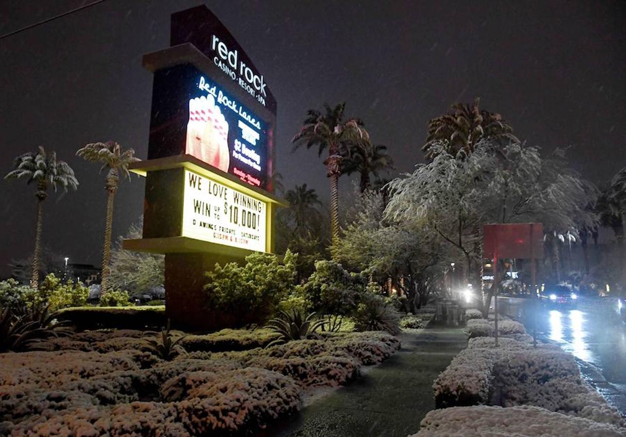 Por primera vez en una década, la nieve ha llegado a las calles de Las Vegas. 