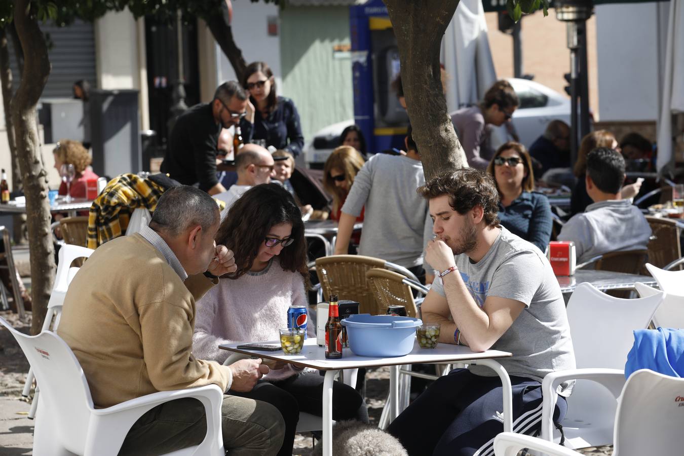 En imágenes, el arranque de la temporada de caracoles en Córdoba