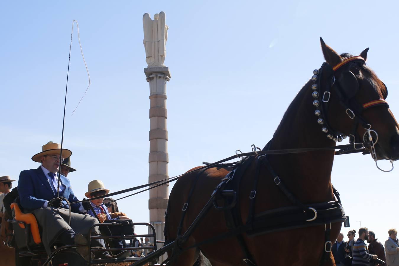 La Marcha Hípica por el Día de Andalucía en Córdoba, en imágenes