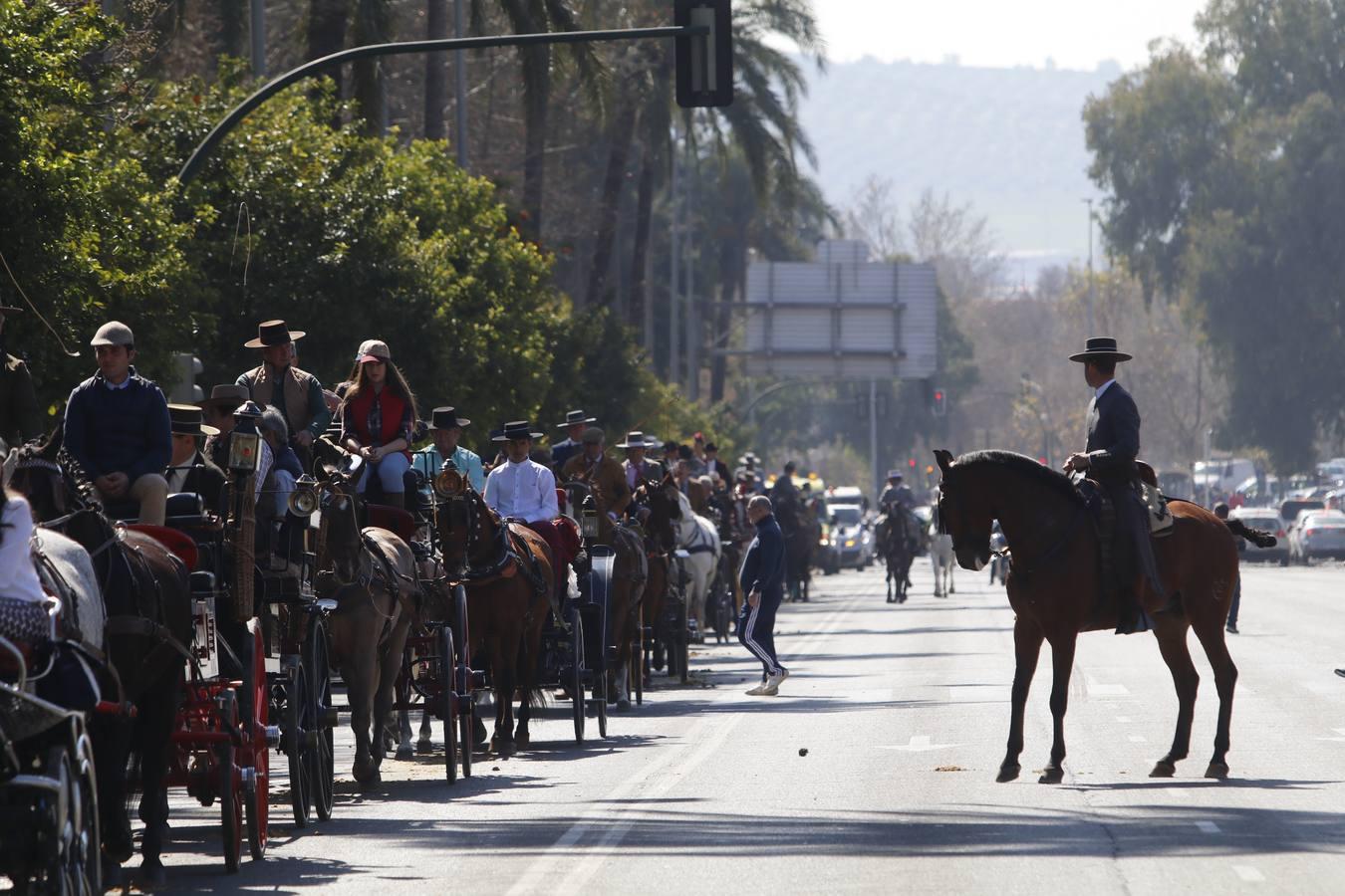 La Marcha Hípica por el Día de Andalucía en Córdoba, en imágenes