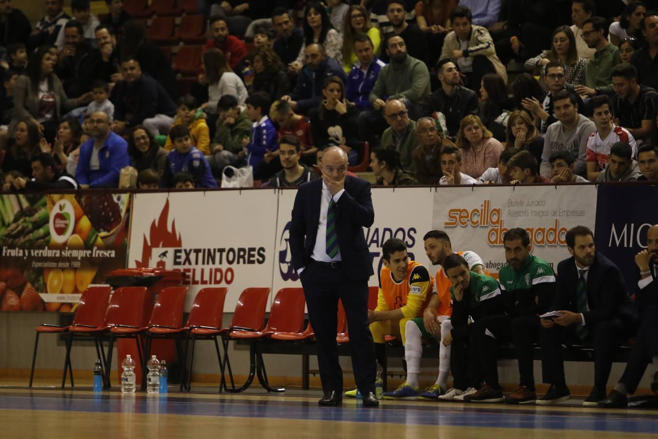 El Córdoba CF Futsal-ElPozo Ciudad de Murcia, en imágenes