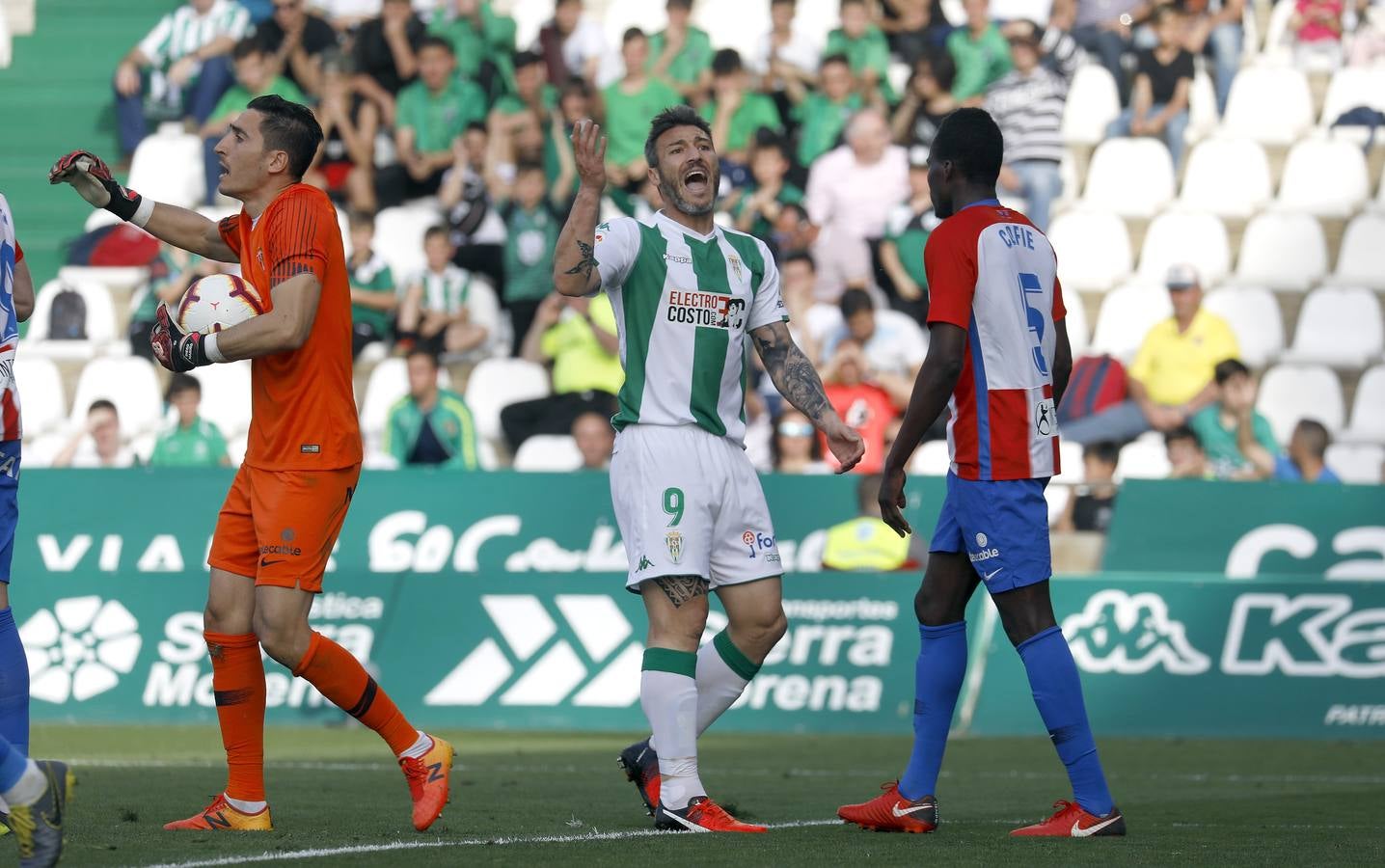 Las mejores imágenes del Córdoba CF-Sporting