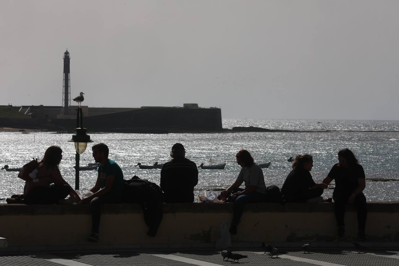 Cádiz se llena de coplas y público en un gran Carnaval Chiquito