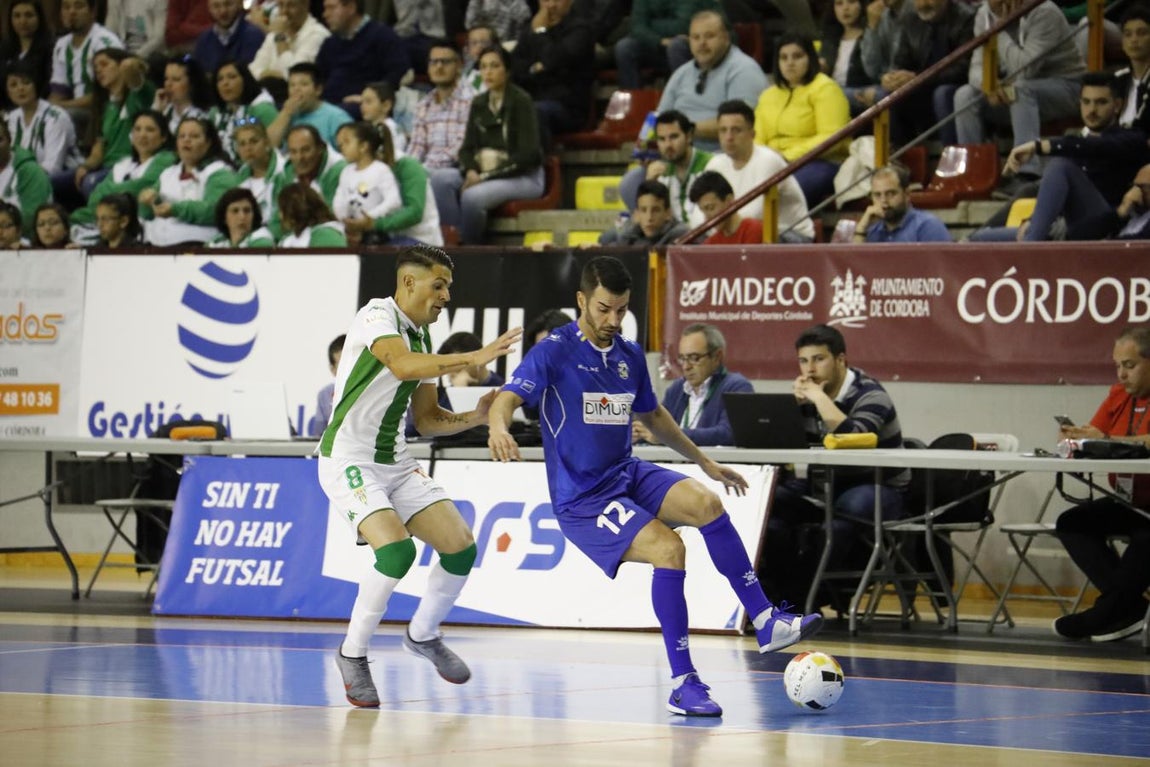 El Córdoba CF Futsal-Dimurol Tenerife, en imágenes